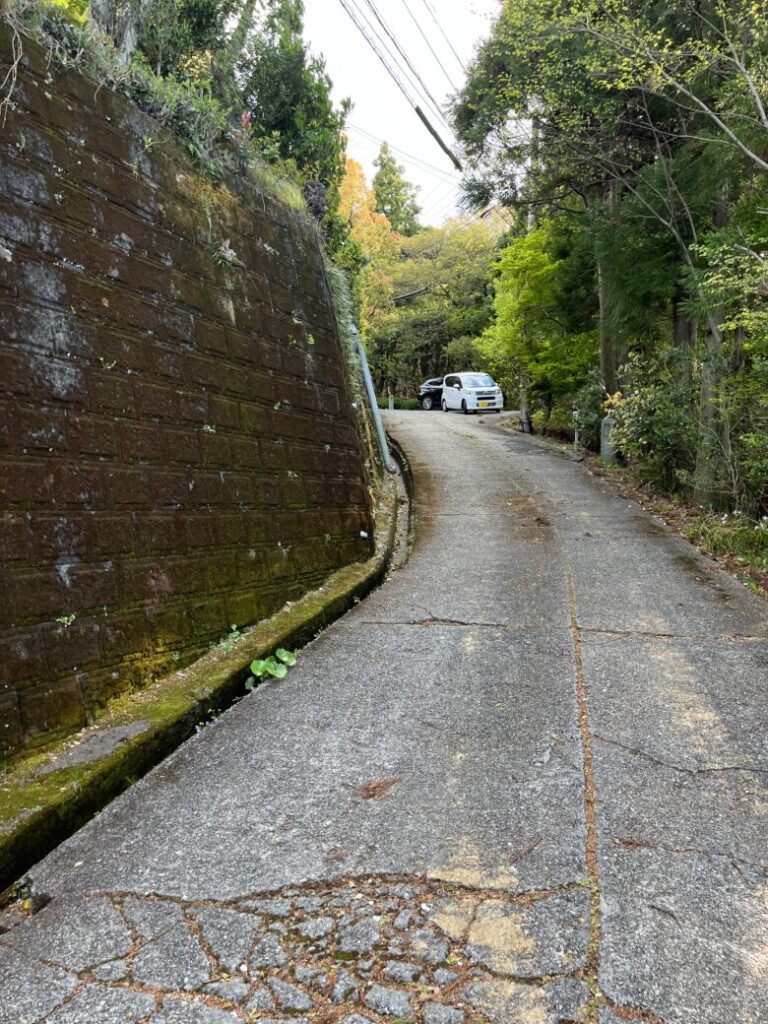 めだかの学校までの道路